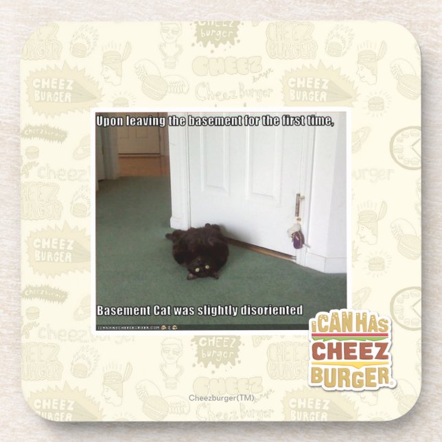 Posavasos Gato del sótano, desorientado levemente (Frente)