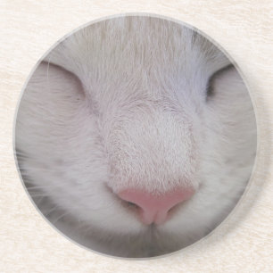 Posavasos Gato durmiente