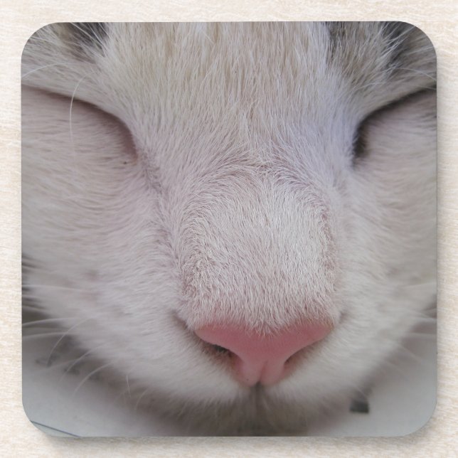Posavasos Gato durmiente (Frente)