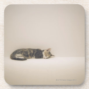 Posavasos Gato el dormir