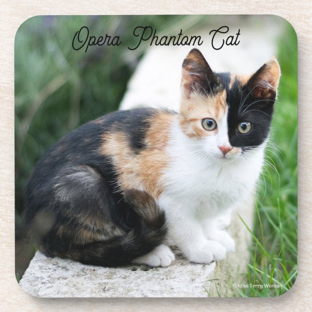Posavasos Gato Fantasma de la Ópera (Frente)