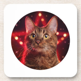 Posavasos Gato habanero marrón (Raza con fondo estrellado)
