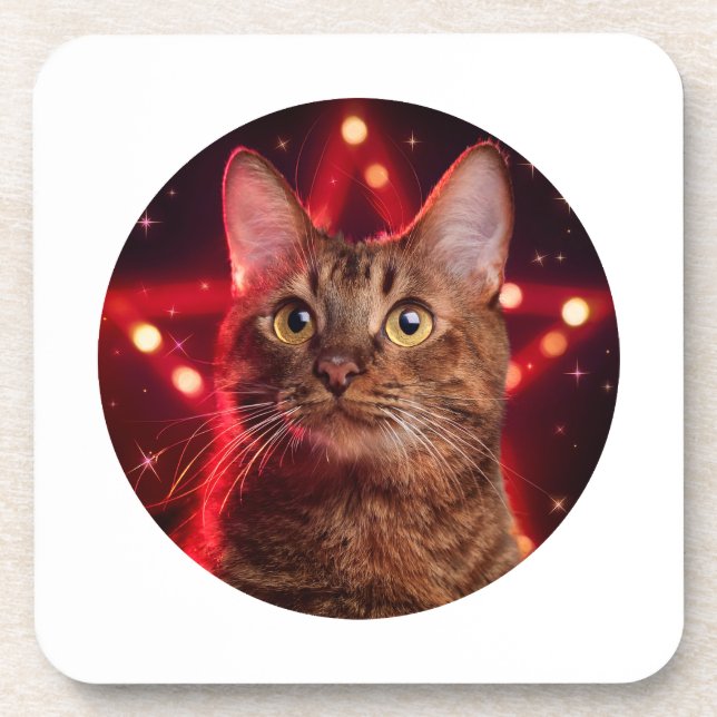 Posavasos Gato habanero marrón (Raza con fondo estrellado) (Frente)