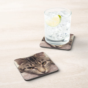 Posavasos Gato-Instagram de Shirley Taylor