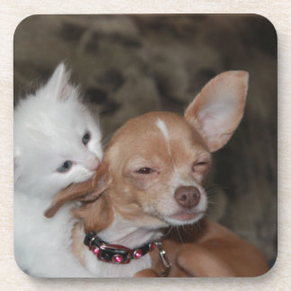 Posavasos Gato lamiendo perro