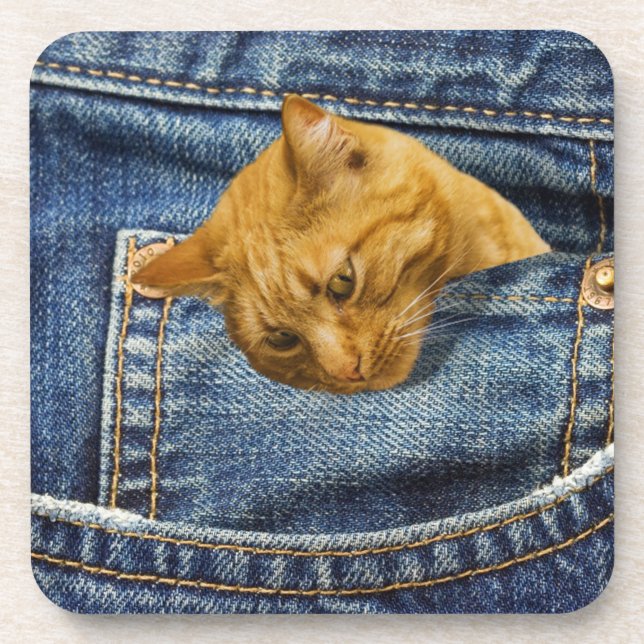 Posavasos Gato lindo en jeans ilusión graciosa de bolsillo (Frente)