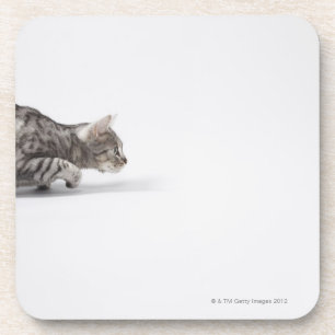 Posavasos Gato listo para saltar