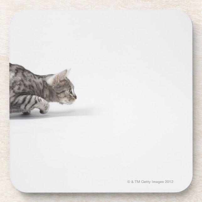 Posavasos Gato listo para saltar (Frente)