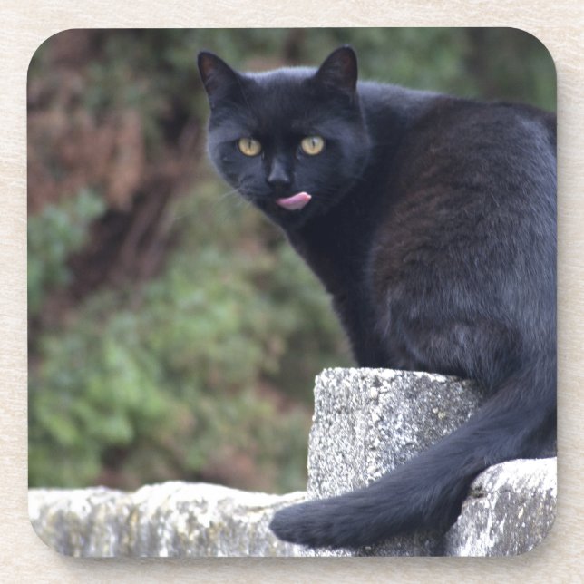 Posavasos Gato negro (Frente)