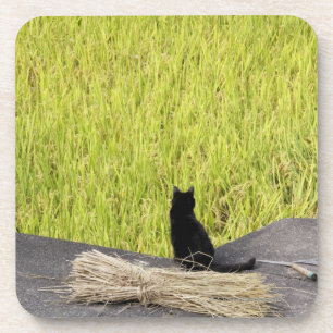 Posavasos Gato negro en arroz de arroz