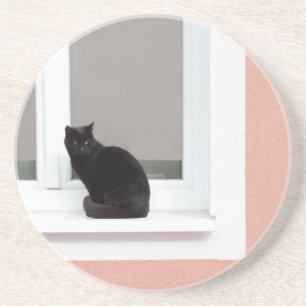 Posavasos Gato negro en coral