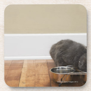 Posavasos Gato que come del cuenco