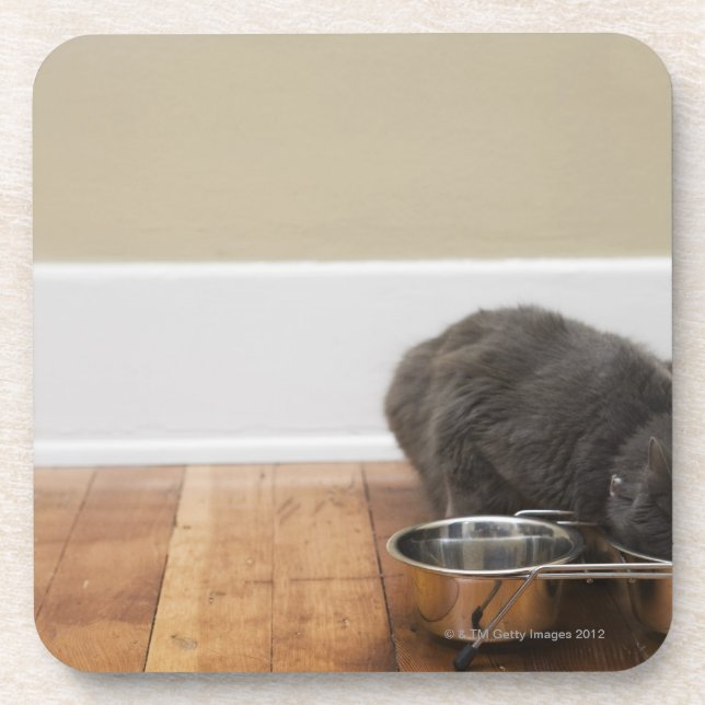 Posavasos Gato que come del cuenco (Frente)