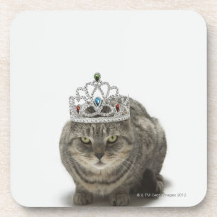 Posavasos Gato que lleva una tiara