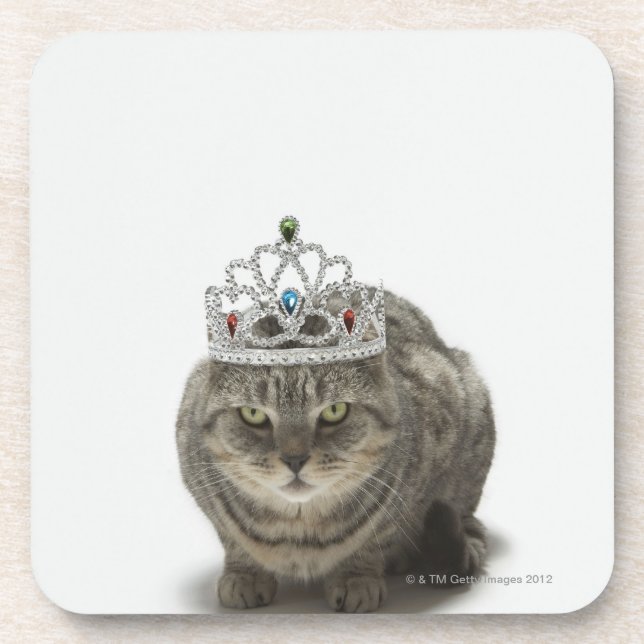 Posavasos Gato que lleva una tiara (Frente)