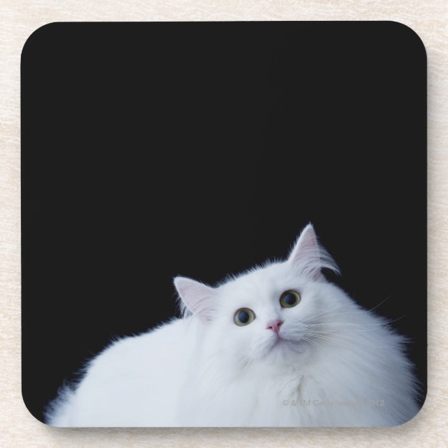 Posavasos Gato siberiano (Frente)