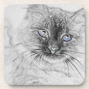 Posavasos Gato siberiano del gatito Napping en la losa de