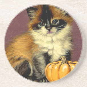 Posavasos Gato Vintage Ragdoll Halloween