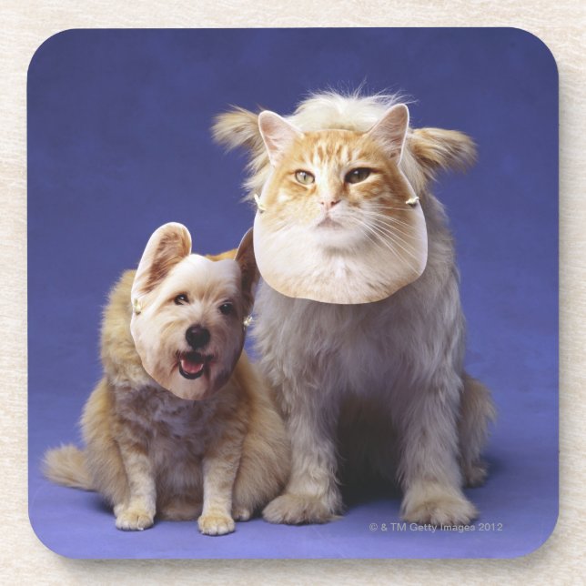 Posavasos Gato y perro con las máscaras (Frente)