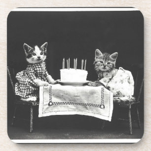Posavasos Gatos de cosecha en una fiesta de cumpleaños