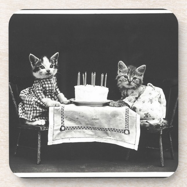 Posavasos Gatos de cosecha en una fiesta de cumpleaños (Frente)