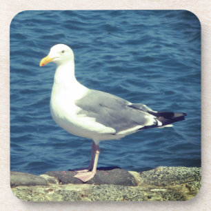 Posavasos Gaviota En La Bahía