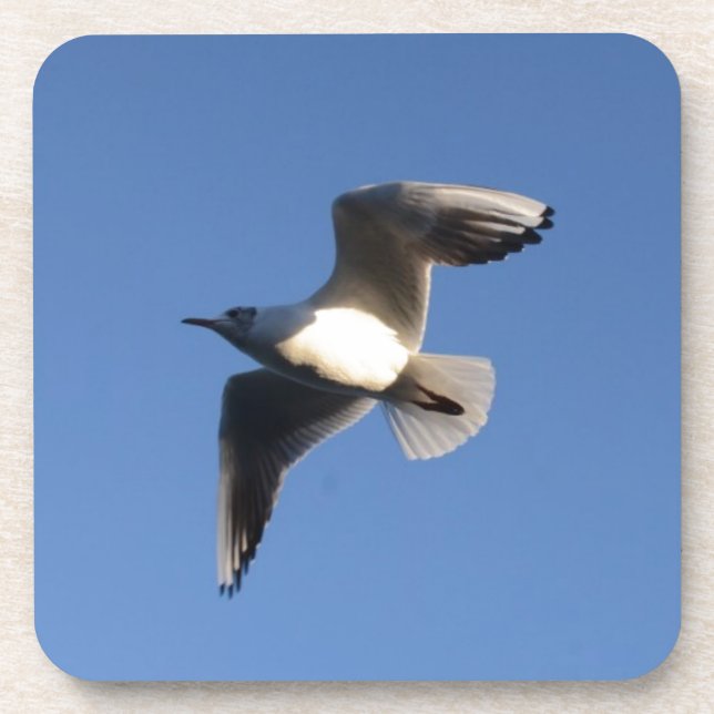 Posavasos Gaviota pequeña (Frente)