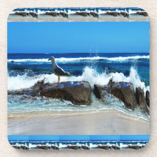 Posavasos Gaviota Sobre Rocas De Playa,