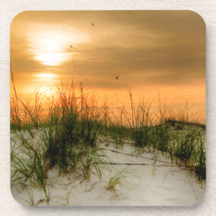 Posavasos Gaviotas al amanecer