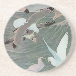 Posavasos Gaviotas sobre olas del océano por Louis Agassiz F