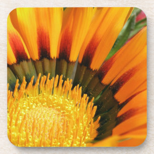 Posavasos Gazania
