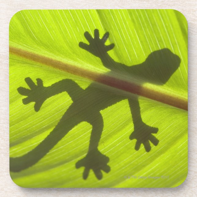 Posavasos Gecko (Frente)