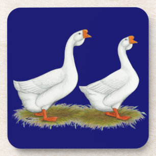 Posavasos Geese africano blanco
