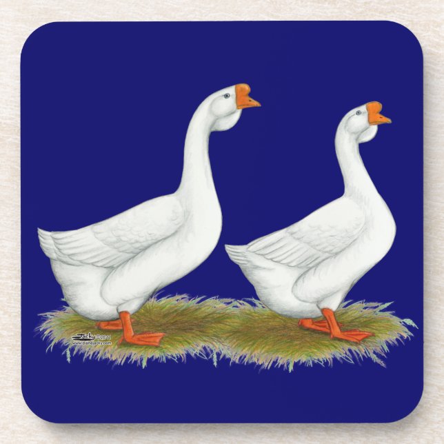 Posavasos Geese africano blanco (Frente)
