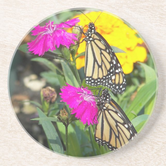 Posavasos Gemelos monarcas #2-cuscús (Frente)