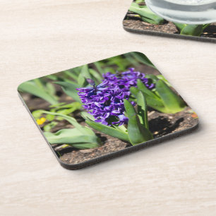 Posavasos Geocinth azul en primavera