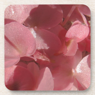 Posavasos Geranio rosa: casi sólido Rosa claro