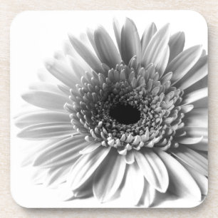 Posavasos Gerbera