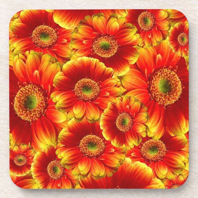 Posavasos Gerbera Daisies, amarilla y Naranja (Frente)