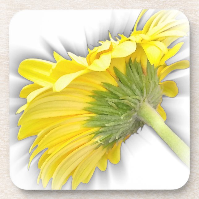 Posavasos gerbera daisy amarillo (Frente)
