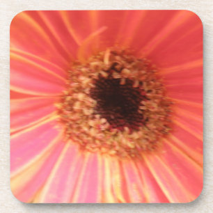 Posavasos Gerbera Daisy Flower Cork Coaster