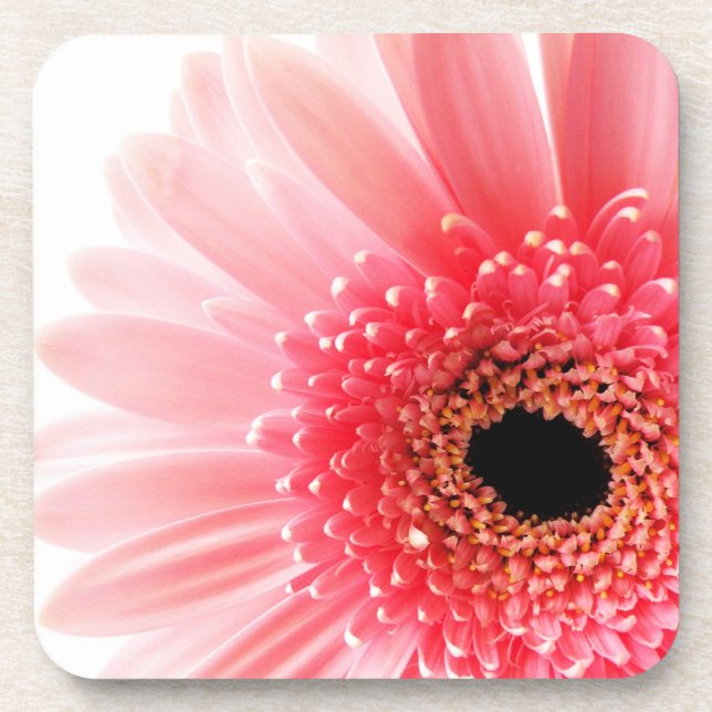Posavasos Gerbera Daisy Poster (Frente)