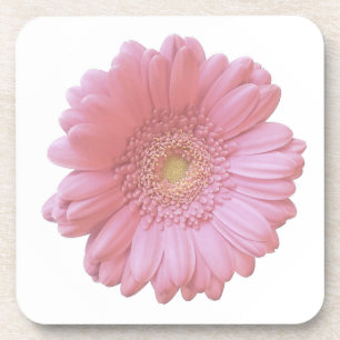 Posavasos Gerbera daisy rosa pálido