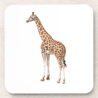Posavasos Girafa de cuello largo
