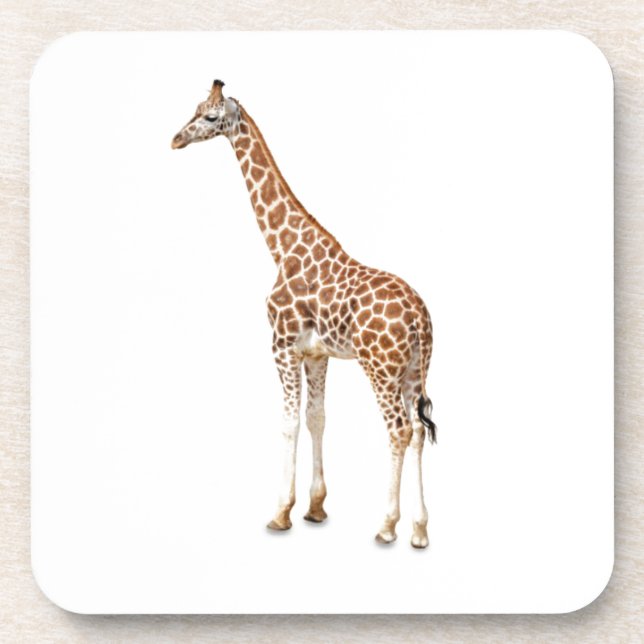 Posavasos Girafa de cuello largo (Frente)
