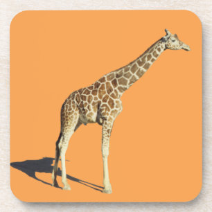 Posavasos Giraffe