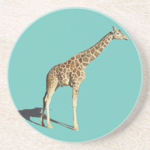 Posavasos Giraffe
