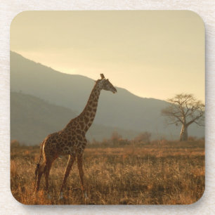 Posavasos Giraffe en la sabana
