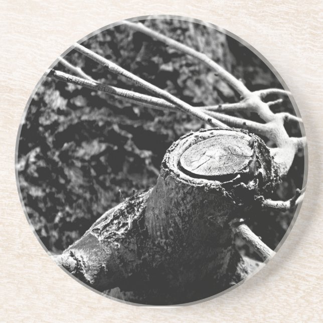 Posavasos girarme alrededor del árbol (Frente)
