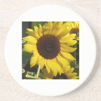 Posavasos Girasol